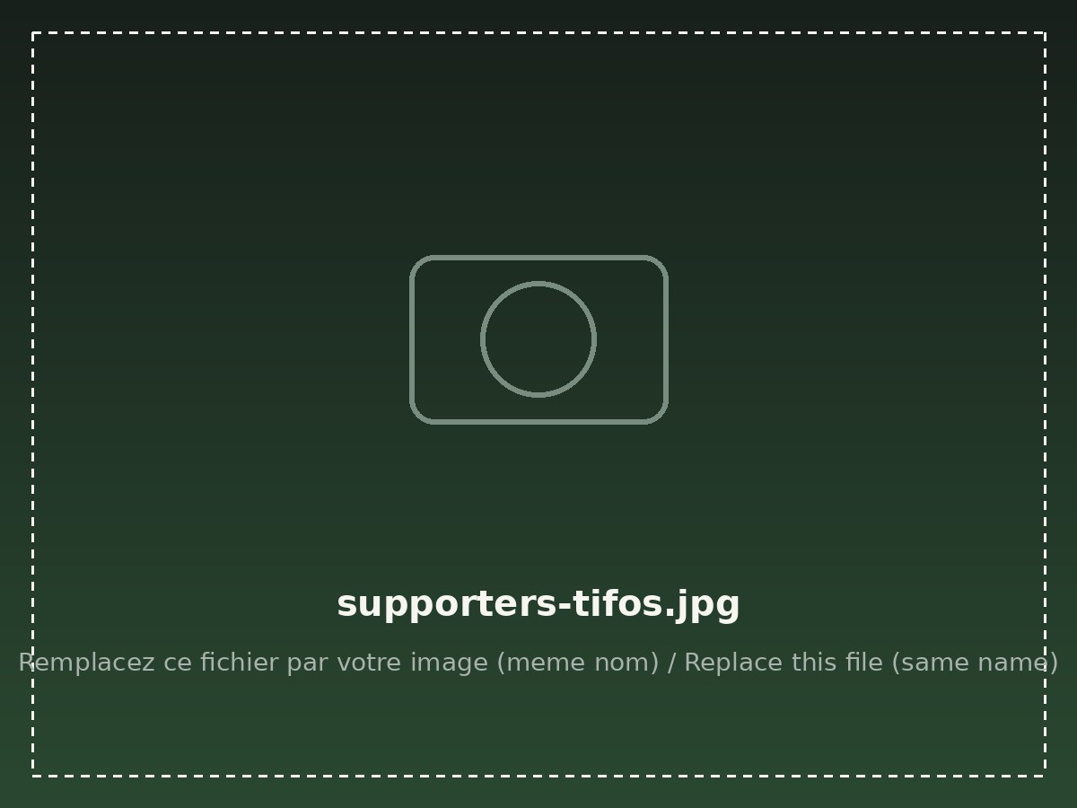 تيفوهات وأعلام